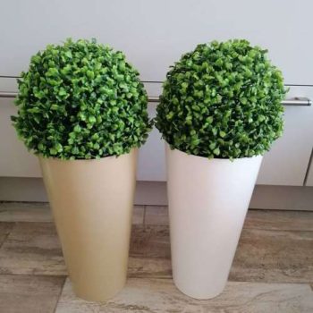   Buxus dekor fehér vagy bézs színben ,megrendeléskor ird meg melyik kaspóban kéred!