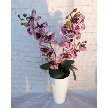   PRÉMIUM MINŐSÉGÚ ORCHIDEA   (magyar kézműves termék) lilás orchidea mini padlóvázában 