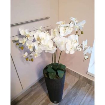   PRÉMIUM MINŐSÉGÚ ORCHIDEA  110 CM (magyar kézműves termék) sötétbarna rattan kaspóval