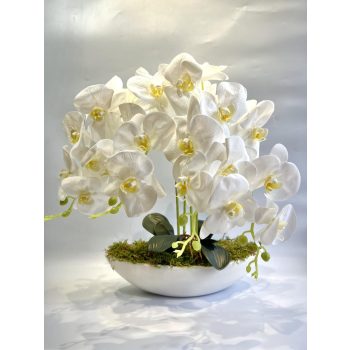 PRÉMIUM MINŐSÉGÚ ORCHIDEA  65 CM-kb