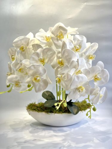 PRÉMIUM MINŐSÉGÚ ORCHIDEA  65 CM-kb