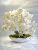 PRÉMIUM MINŐSÉGÚ ORCHIDEA  65 CM-kb