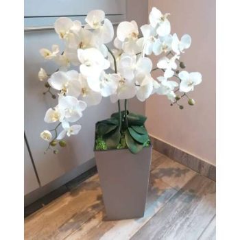   PRÉMIUM MINŐSÉGÚ ORCHIDEA  100 CM (magyar kézműves termék) kaspó bézs kocka