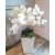Kocka padlóvázás orchidea fehér kaspóban-fehér orchidea