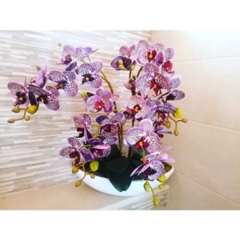 Lila 4 virágos orchidea kerámia kaspóban