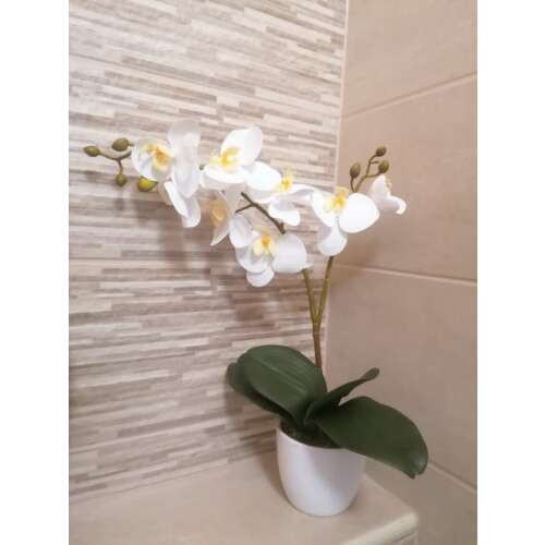Orchidea Művirág 1 szálas kaspóban #fehér