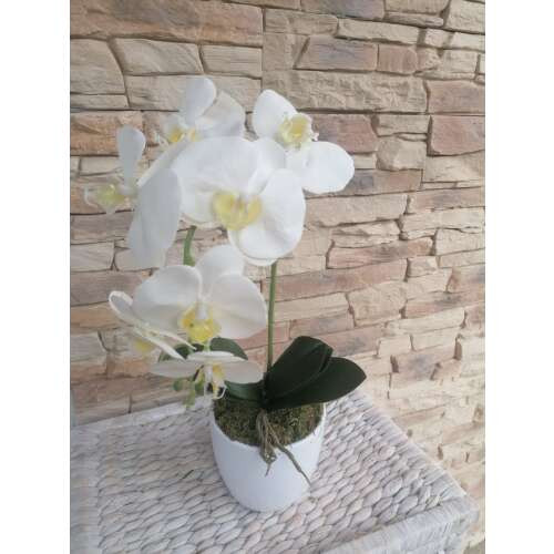Orchidea 1 szálas 