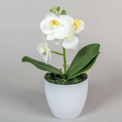 Orchidea Művirág 1 szálas kaspóban 23cm #fehér