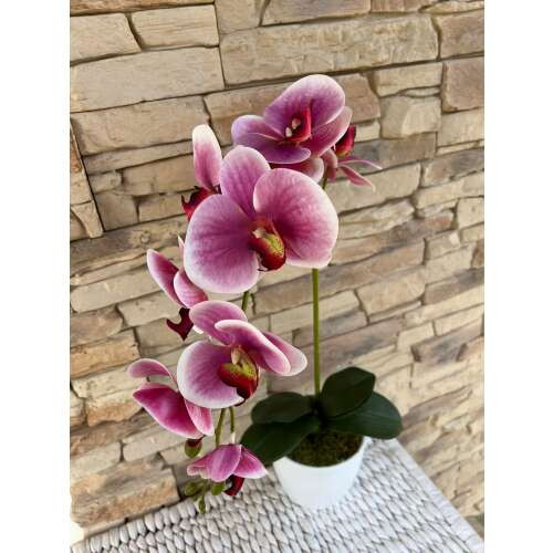 Orchidea 1 szálas  kerámia kaspóban -lilás árnyalatú