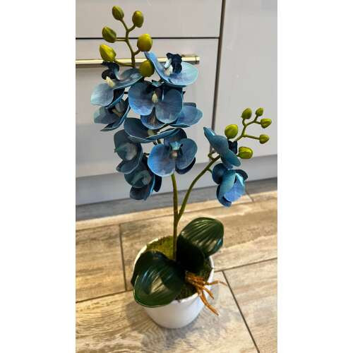 1 szálas kék orchidea dekor