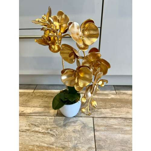 Arany orchidea 1 szálas