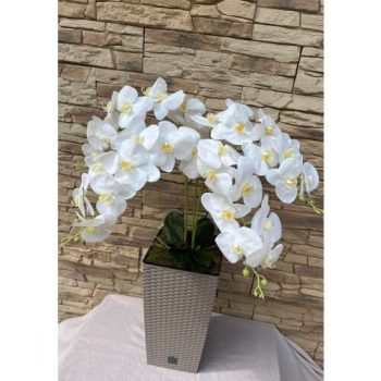   Kocka padlóvázás orchidea(bézs(mocca)/fehér) színben  kb 1 méteres KASPÓ KOCKA BÉZS RATTAN
