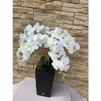   Kocka padlóvázás orchidea(barna (umbro)/fehér) színben  kb 1 méteres KASPÓ SÖTÉTBARNA RATTAN