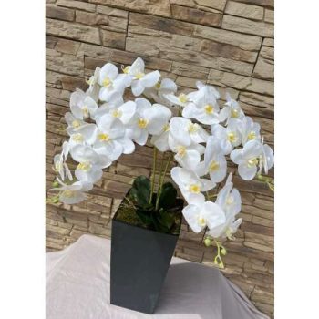   Kocka padlóvázás orchidea fekete színben  kb 1 méteres kaspóval együtt értendő