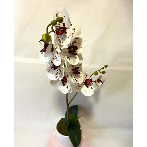 1 szálas pöttyös orchidea dekor