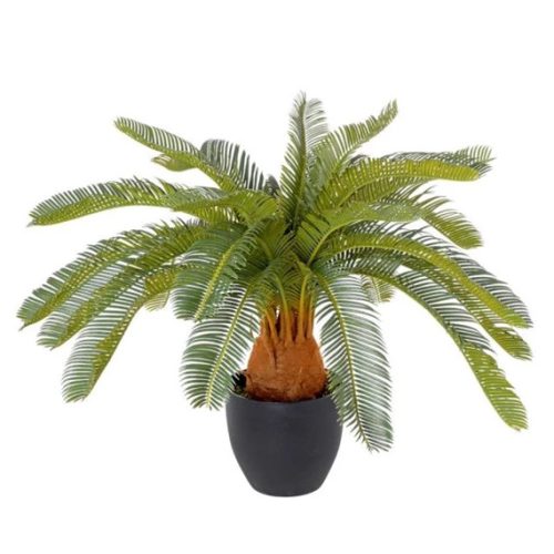 Selyemvirág cikász pálma kaspóban 72 cm