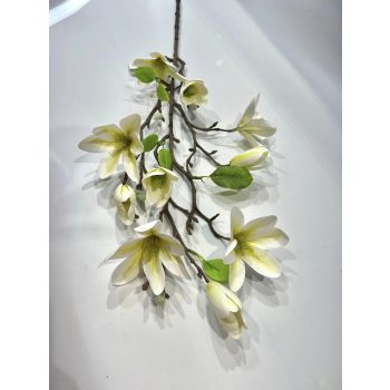 MAGNÓLIA ÁG GUMI M80CM-fehér