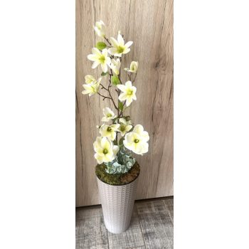 Magnólia padlóvázában 100 cm kaspó rattan bézs színű