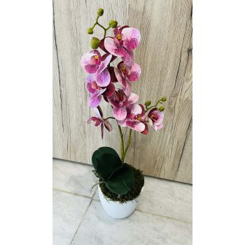   Orchidea kerámia kaspóban lilás rózsaszín színvilágban