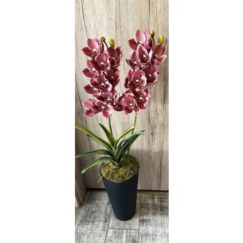 Különleges orchidea padlóvázában (5.)