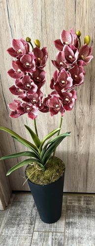Különleges orchidea padlóvázában