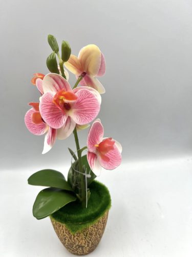 Cserepes orchidea gumi M27cm