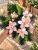Sírdísz arany műanyag tálban selyem orchidea díszítéssel M14x30cm rózsaszín