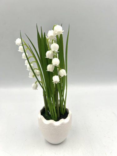 Gyöngyvirág kaspóban 3v. M20cm