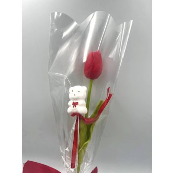 Nőnapi tulipán,macival díszcsomagolással piros