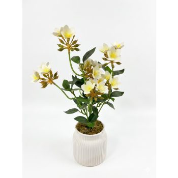   Művirágos asztaldísz kerámia kaspóban – fehér virágos dekoráció, maradandó ajándék