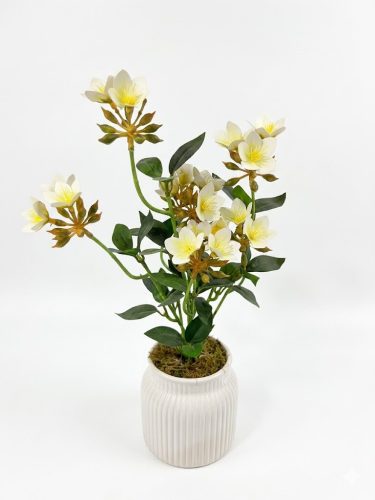 Művirágos asztaldísz kerámia kaspóban – fehér virágos dekoráció, maradandó ajándék