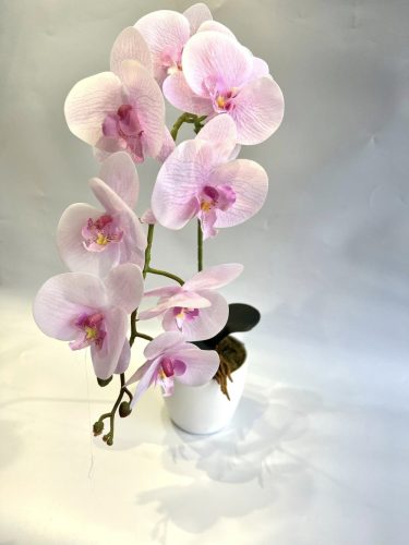Rózsaszín orchidea dekor 1 szálas
