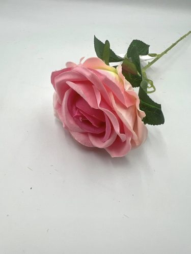rózsa szálas M51cm 
