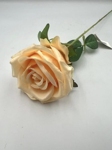 rózsa szálas M51cm 
