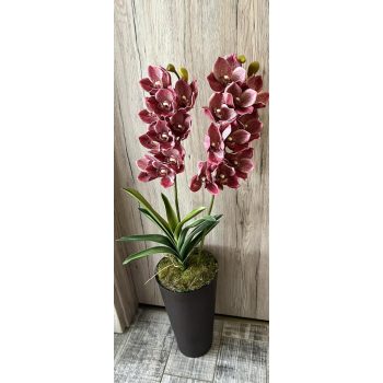 Különleges orchidea padlóvázában (7.)