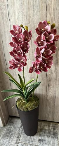 Különleges orchidea padlóvázában