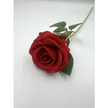 rózsa szálas M51cm 