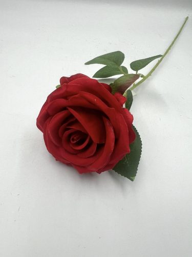 rózsa szálas M51cm 