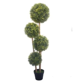 Buxus bokor cserepes 80x80x125 cm