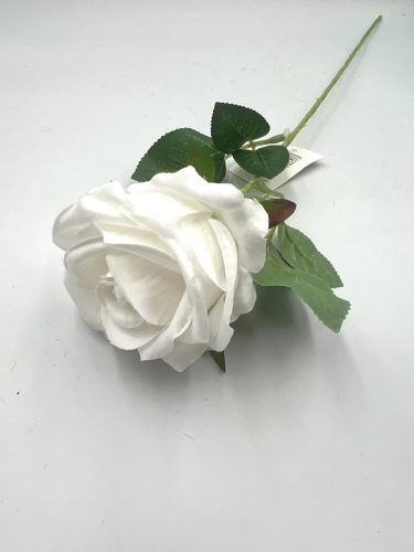 rózsa szálas M51cm 