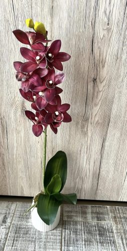 Különleges színű orchidea kerámia kaspóban
