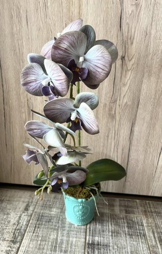 Különleges színű orchidea kerámia kaspóban