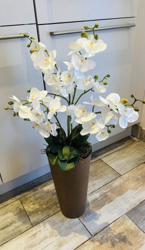 Padlóvázás orchidea 4 szálas fehér virágokkal 