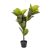 Selyemvirág Ficus cserépben 100 cm