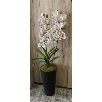   Különleges orchidea padlóvázában rattan sötétbarna kaspóval
