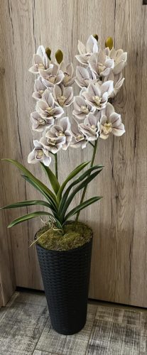 Különleges orchidea padlóvázában