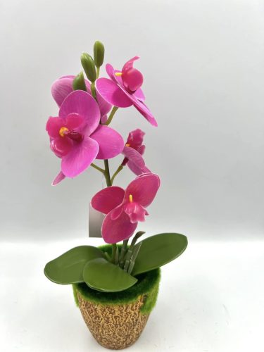 Cserepes orchidea gumi M27cm