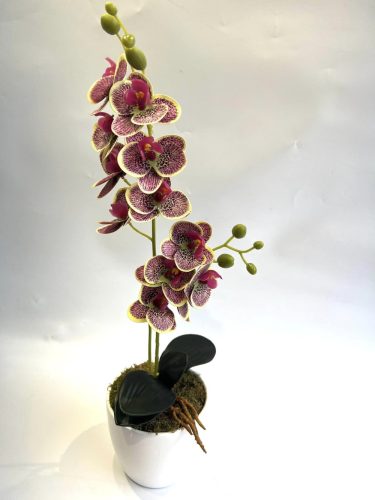 Orchidea dekor 1 szálas 2 ágú