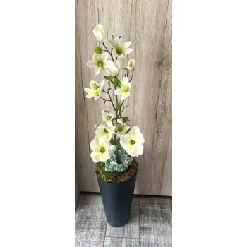 Magnólia padlóvázában 100 cm kaspó antracit fekete