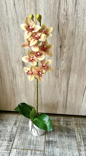 Különleges színű orchidea kerámia kaspóban